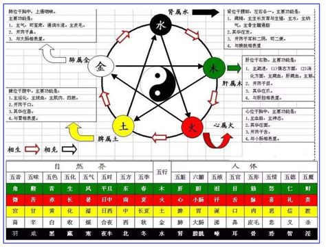 丙火 顏色|十天干命主白話解說